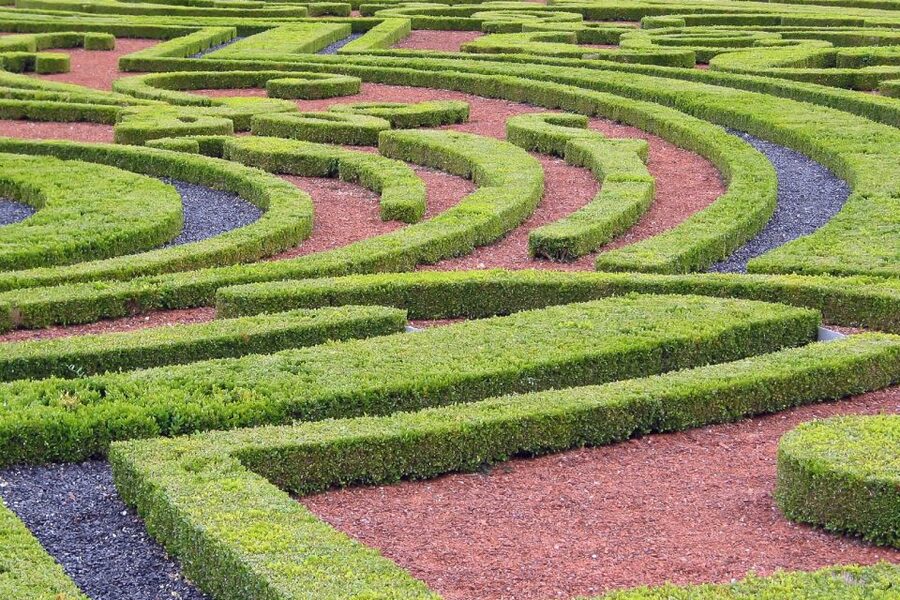 Fontainebleau & Vaux-le-Vicomte Châteaux Day Tour from Paris - Price and value: why two châteaux can cost less than you think