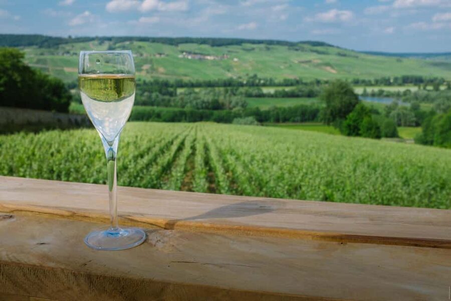 From Paris: Champagne Day Trip with 7 Tastings and Lunch - The 7 tastings: how to taste without getting sloppy
