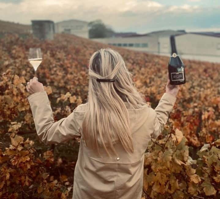 From Paris: Champagne Day Trip with 7 Tastings and Lunch - Guides and drivers: the difference between a visit and a day that sticks