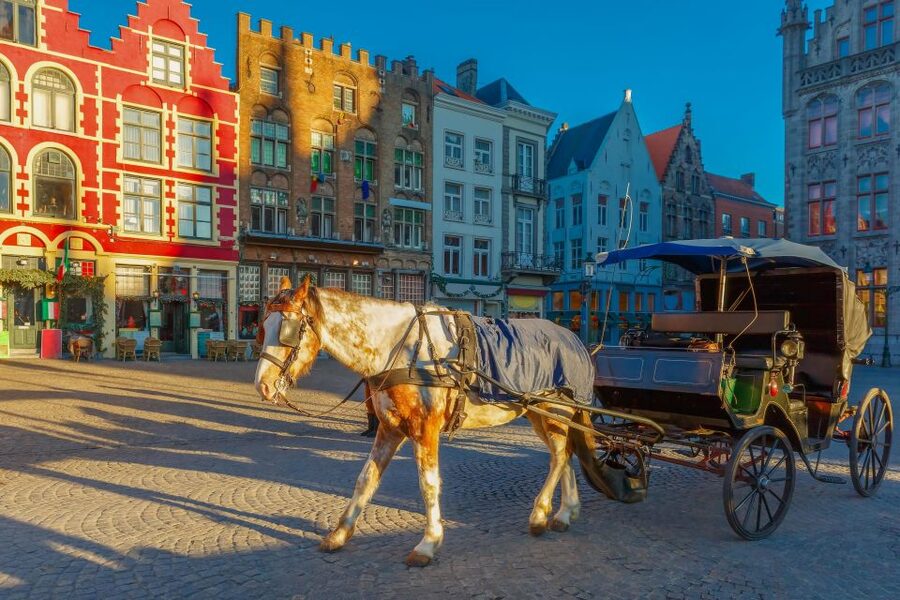From Paris: Day Trip to Bruges with Optional Seasonal Cruise - Paris to Bruges in One Day: Why This Trip Works