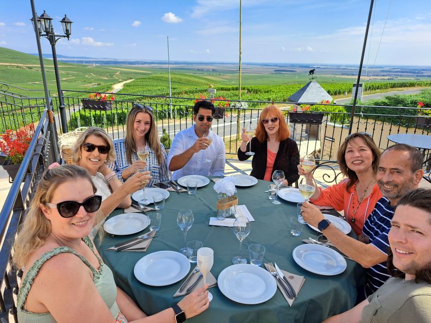 From Paris: Day Trip to Champagne with 8 Tastings & Lunch - The vineyard stop in Champagne: where terroir talk turns into real views
