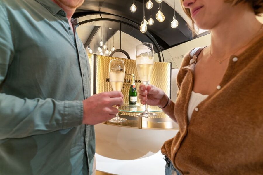 From Paris: Day Trip to Champagne with 8 Tastings & Lunch - Lunch paired with Champagne at a family house or local restaurant