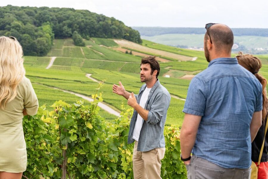 From Paris: Day Trip to Champagne with 8 Tastings & Lunch - The 8 tastings: how to taste smarter without overthinking it