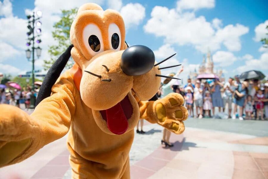 From Paris: Disneyland 1-Day Ticket & Private Transfer - Disneyland Park: parades, fireworks, and garden magic