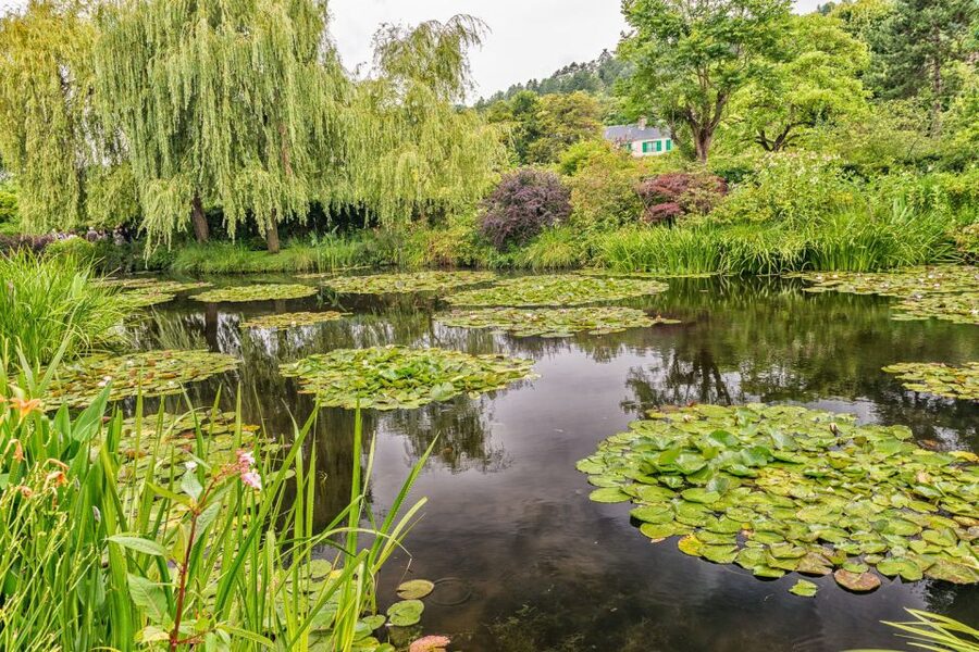 From Paris: Guided Day Trip to Monet's Garden in Giverny - Monet’s Water Garden: Water Lilies, Bridges, and Real Color