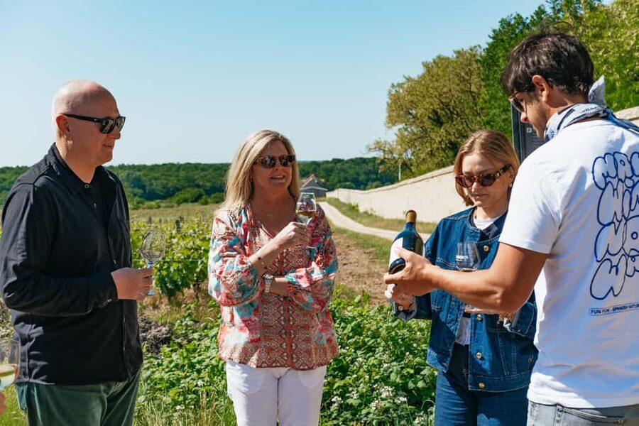 From Paris: Loire Valley Chambord Castle and Wine Tasting - Château de Chambord: audio-guided flow, the best things to notice, and the stairs reality