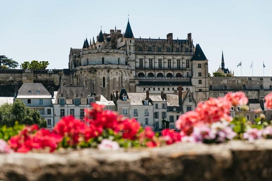 From Paris: Loire Valley Chambord Castle and Wine Tasting - Small-group rhythm and an English guide/driver