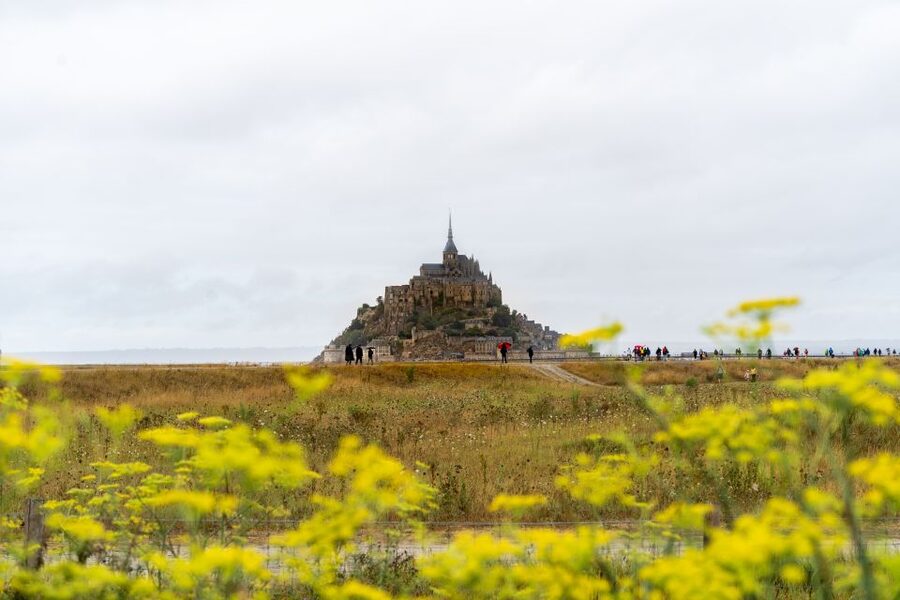 From Paris: Mont Saint Michel Day Trip with a Guide - Is This Mont Saint Michel Day Trip Worth $128?