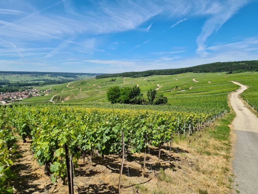From Paris: Prestige Champagne Tour and Tastings - Who This Tour Suits Best