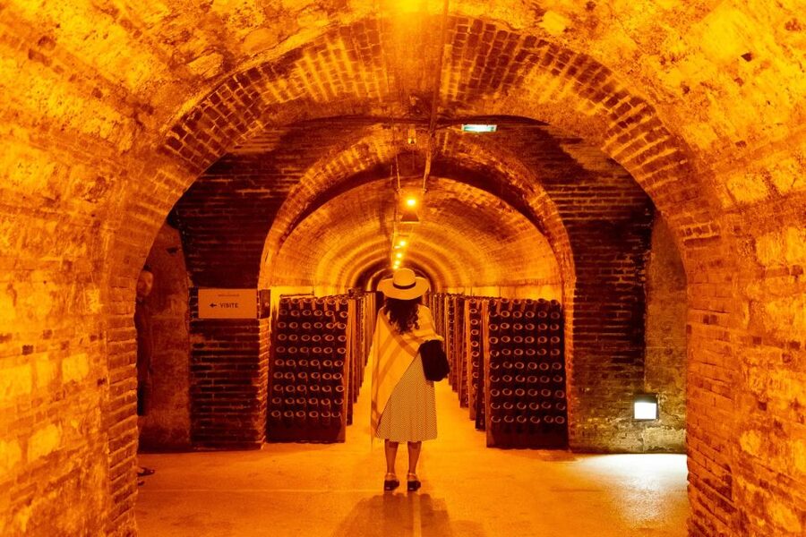 From Paris: Prestige Champagne Tour and Tastings - The Second Producer: Boutique Tasting With Different Priorities