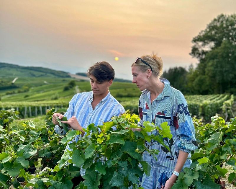 From Paris: Prestige Champagne Tour and Tastings - What You Taste: The Three Grapes Behind Champagne