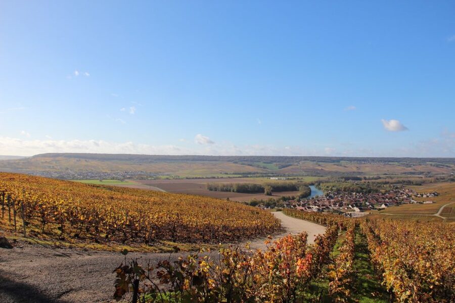 From Paris: Prestige Champagne Tour and Tastings - Tools, Cellar Life, and Why the Cold Part Is Real