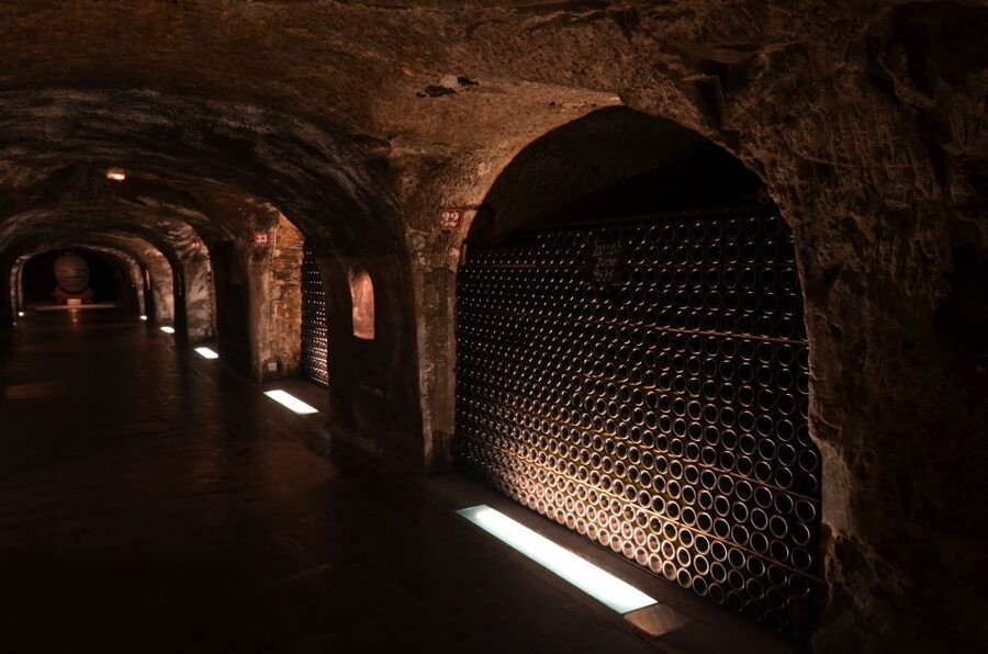 From Paris: Prestige Champagne Tour and Tastings - Price and Logistics: Is $1,584 Worth It?