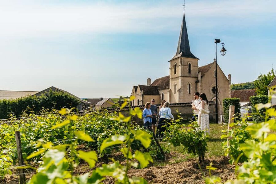 From Paris: Private Sancerre Wine Tour w 10 Tastings & Lunch - Key highlights worth your time