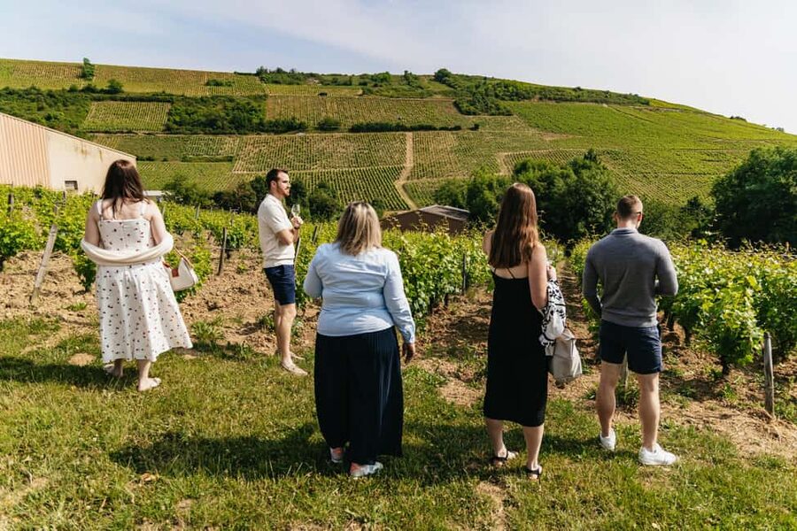From Paris: Private Sancerre Wine Tour w 10 Tastings & Lunch - The wine pacing: tasting a lot without feeling lost