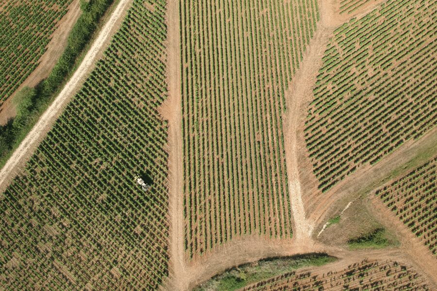 From Paris: Private Sancerre Wine Tour w 10 Tastings & Lunch - Winery stop one: family-run cellars and real comparisons