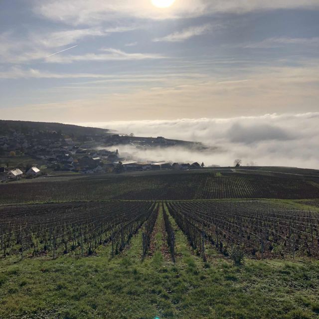 From Paris: Reims and Champagne Tasting Full-Day Tour - Lunch in Épernay: French Food Break That Keeps the Day on Track