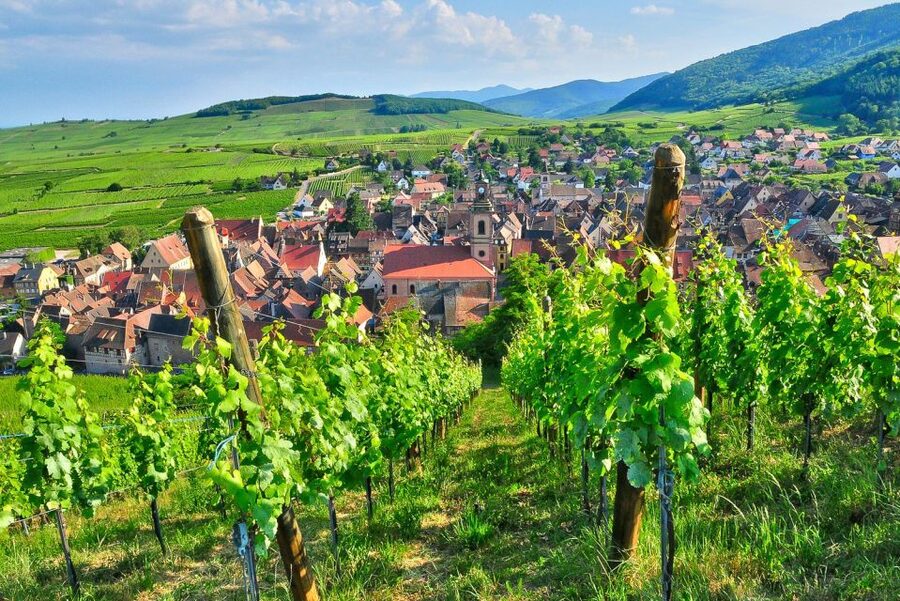 From Paris: Small-Group Champagne Day Trip with Six Tastings - Should you book this Champagne day trip from Paris?