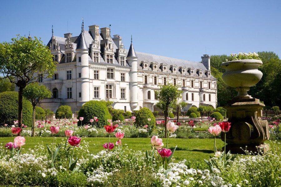 From Paris: Small-Group Loire Valley Castles Full-Day Tour - Who this tour suits best (and who should skip it)