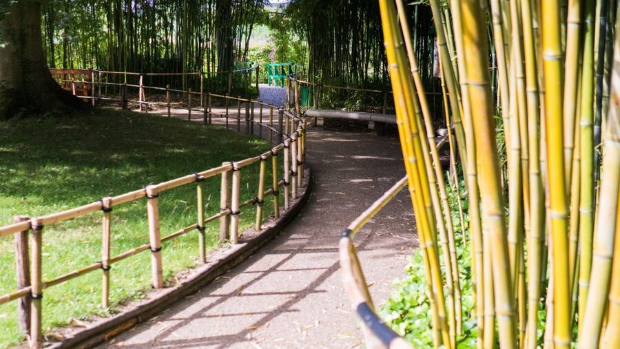 From Paris: Versailles and Giverny Full-Day Trip - The Ride Between Stops: How Transfers Keep the Day Relaxed