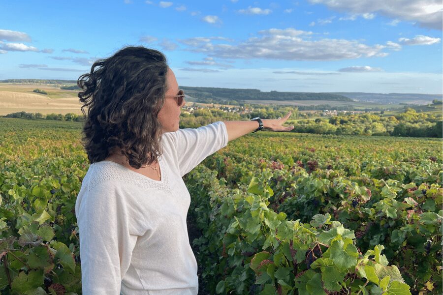 From Paris: Wine Day trip to SANCERRE w 10 Tastings & Lunch - Paris Pickup, Croissants, and the Pace of an 11-Hour Wine Day