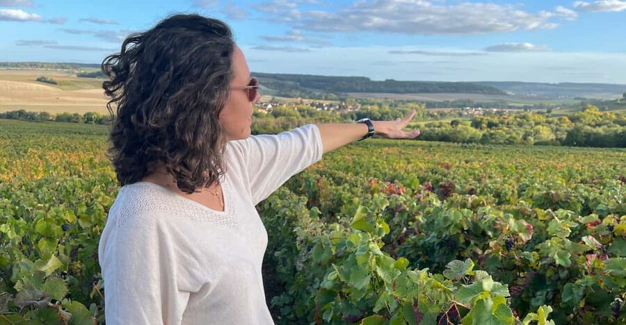 From Paris: Wine Day trip to SANCERRE w 10 Tastings & Lunch - The March-to-November “Tasting in the Wild” in the Vines