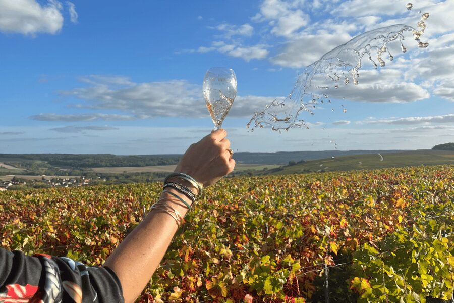 From Paris: Wine Day trip to SANCERRE w 10 Tastings & Lunch - Lunch at a Family Winery, Crottin de Chavignol, and Wine Pairing