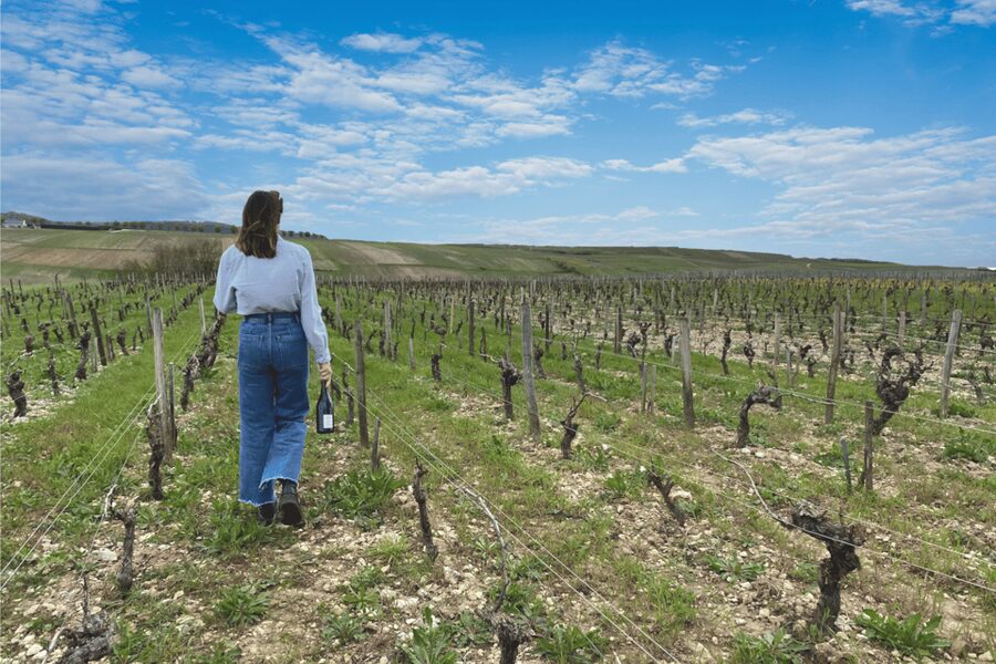 From Paris: Wine Day trip to SANCERRE w 10 Tastings & Lunch - Two Winery Stops, 10+ Tastings, and What You Might Also Try