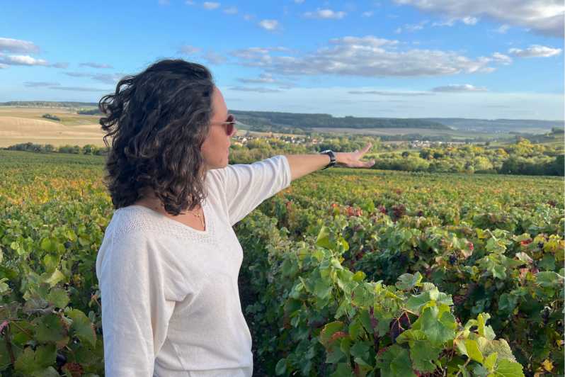 From Paris: Wine Day trip to SANCERRE w 10 Tastings & Lunch - Vineyard Views and a Glass Served Right Where the Grapes Grow