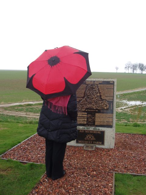 From Paris: WWI Somme Battlefields Full-Day Tour - Why the Somme battlefield tour works from Paris