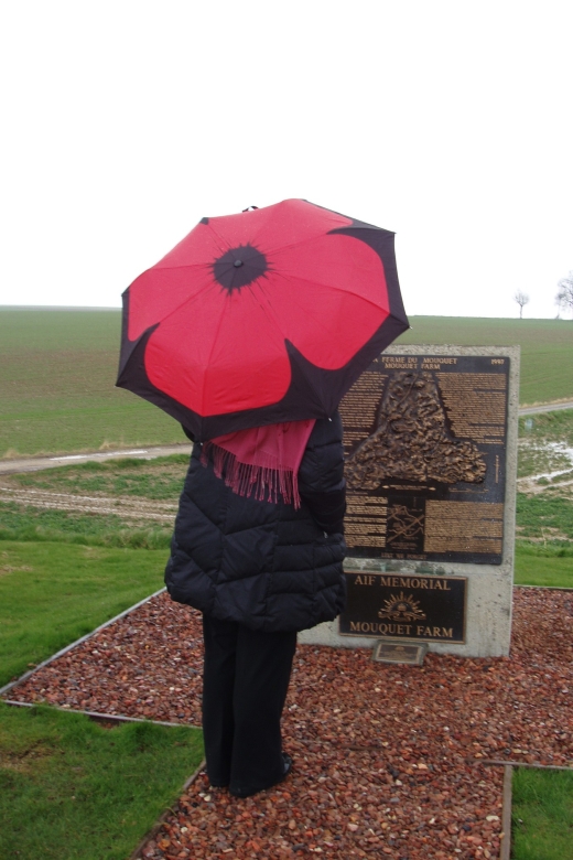 From Paris: WWI Somme Battlefields Full-Day Tour - Historial Museum in Péronne: turning sites into understanding