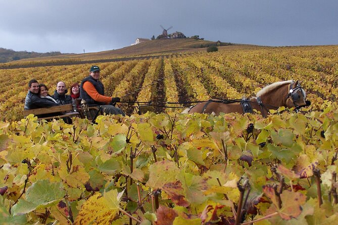 Full Day All-inclusive Tour in Champagne from Paris in a Minivan - Key highlights you should know