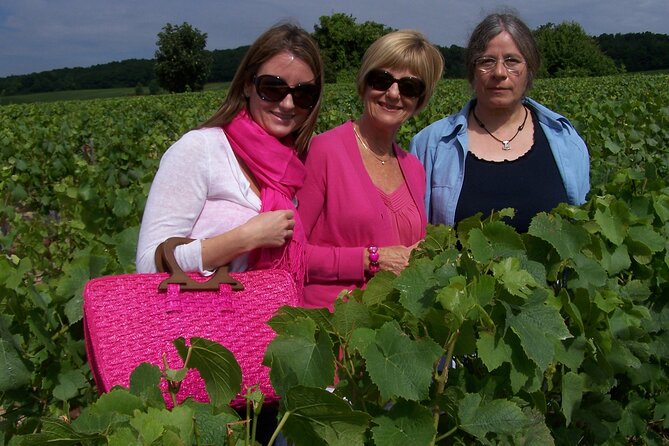 Full Day All-inclusive Tour in Champagne from Paris in a Minivan - Who this minivan Champagne day trip suits best