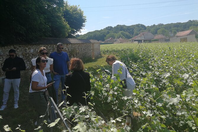 Full-Day Private Champagne Tasting in Reims and its Vineyards - Mailly-Champagne and Grand Crus: vineyards, photos, and a second house