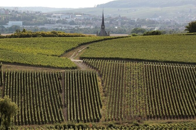 Full-Day Private Champagne Tasting in Reims and its Vineyards - Price and logistics: is $718.55 per person good value?
