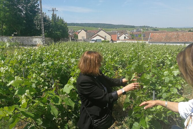 Full-Day Private Champagne Tasting in Reims and its Vineyards - Who this tour suits, and who should skip it
