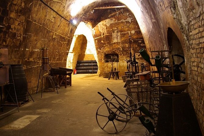Full-Day Private Champagne Tasting in Reims and its Vineyards - Practical tips that make the day smoother