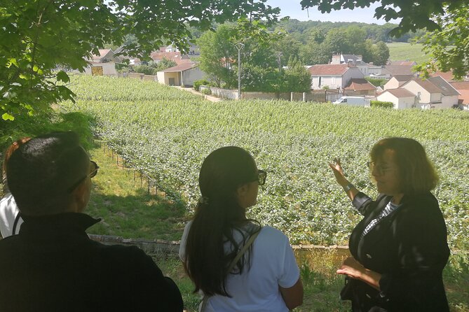 Full-Day Private Champagne Tasting in Reims and its Vineyards - Reims landmarks before the corks: cathedral and the city core
