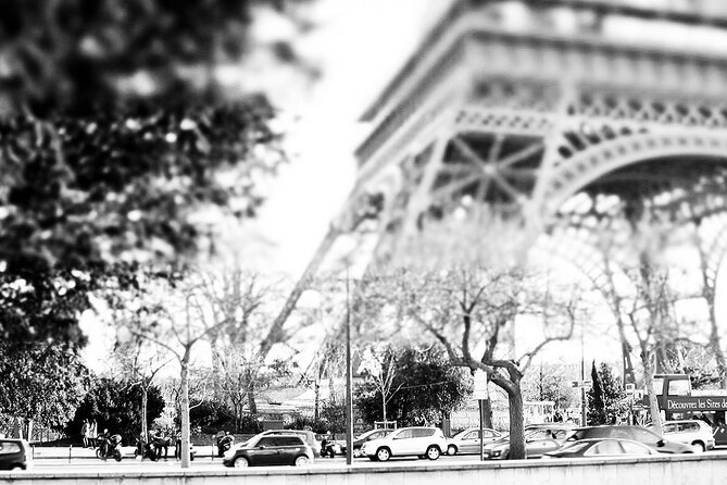 Full-Day Private Sightseeing Tour of Paris (luxury van) - Price and logistics: what you’re paying for