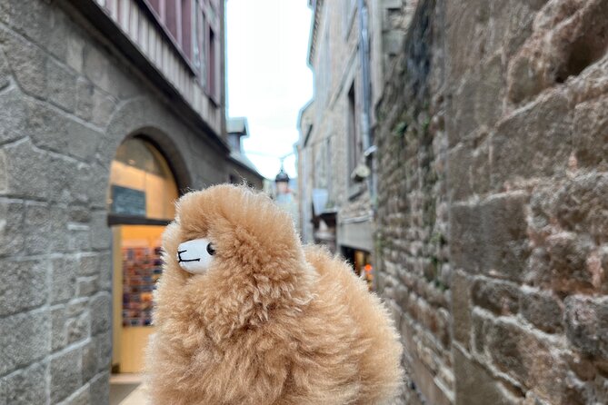 Full-day Private Tour in Mont Saint Michel with Calvados Tasting - Mont Saint-Michel: how the abbey visit actually works