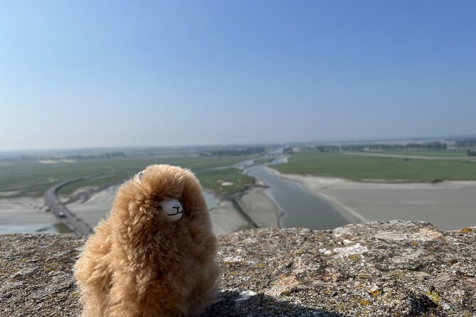 Full-day Private Tour in Mont Saint Michel with Calvados Tasting - Four hours of freedom: village streets, lunch, and viewpoints