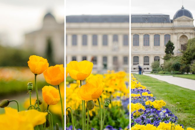 Further training workshop - A 3-hour, up-to-four photography workshop in Paris
