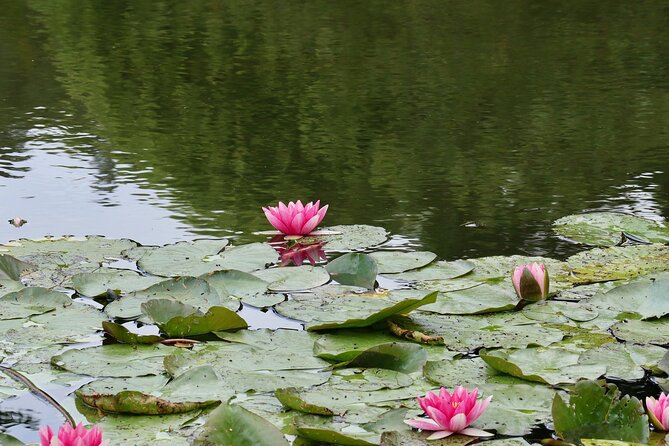 Giverny Half-Day Small-Group Tour from Paris – Max 7 Guests - The drive back to Paris, plus a brief Versailles stop