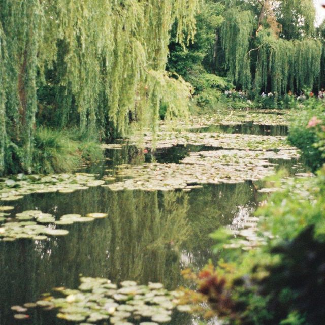 Giverny : Monet's house & Gardens Private tour from Paris - Should you book Giverny: Monet’s house & Gardens Private tour from Paris?