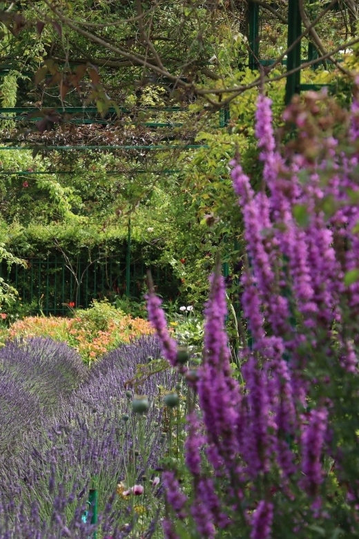 Giverny Private Guided Walking Tour - The Monet story your eyes can follow in 2 hours