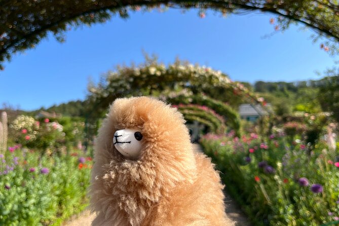 Giverny & Versailles Private Guided Tour with Ticket Entry - Central Paris pickup and a private car that actually saves time