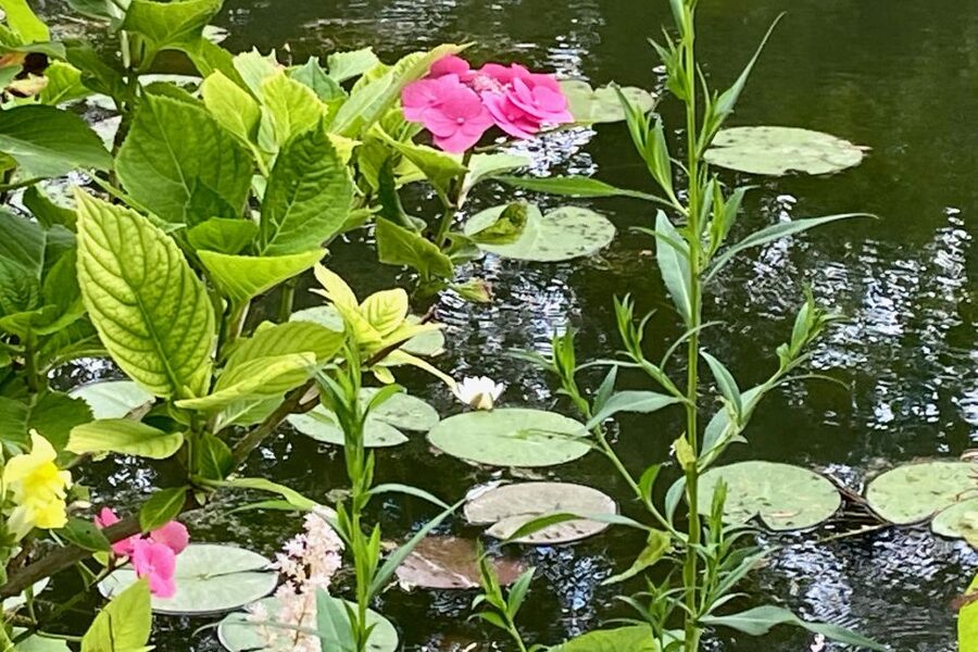 Giverny Versailles Trianon Small Group by Minivan from Paris - Price and Value: Is $347 a Fair Deal for Monet Plus Versailles?