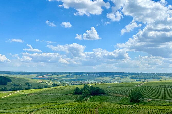 GRAND VINTAGE Ruinart Veuve Clicquot Private Champagne from Paris - Paris to Champagne in one long, well-paced day