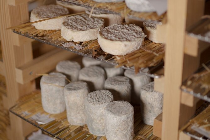 Guided visit of the Cheese Museum with Tasting Included - What you see inside: museum-style cheese history and technique