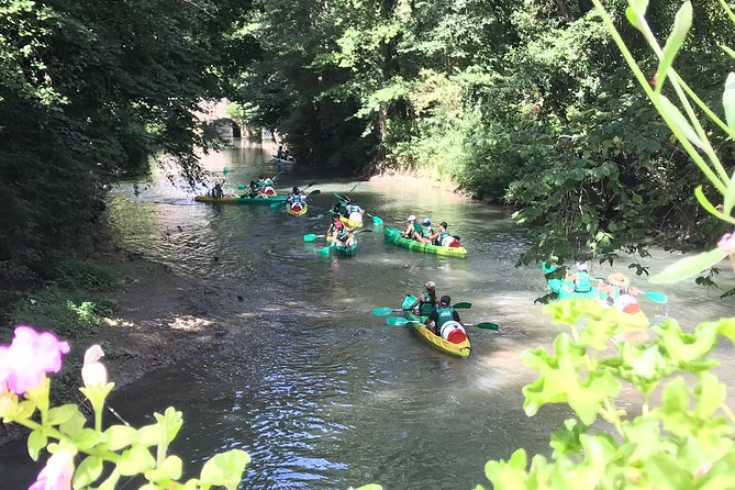 Half day descent - Who this canoe descent suits best (and who might want something else)